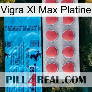 Vigra Xl Max Platinum new14